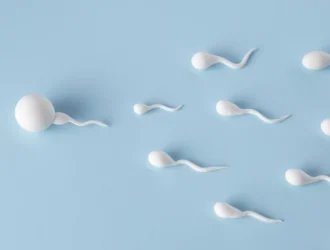 Boost Testosterone Levels